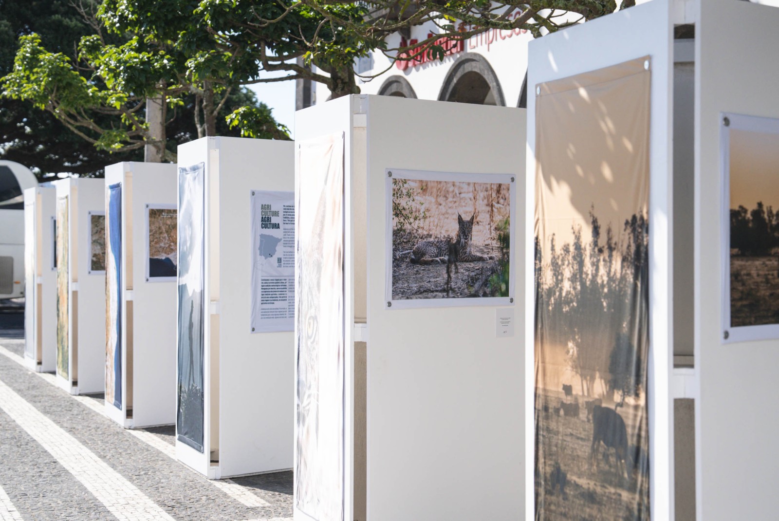 Azores: Ponta Delgada