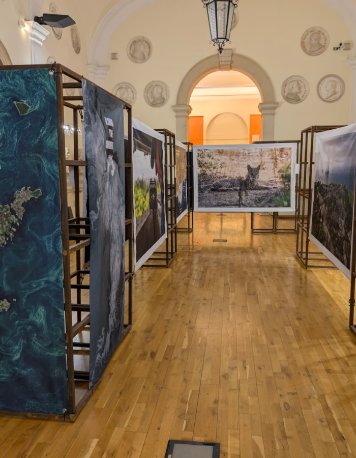 Verona: Journalism Festival